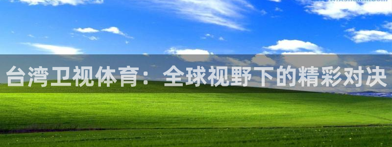 833看球直播在线观看