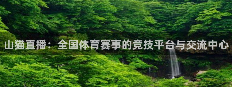 833足球比赛免费直播