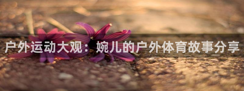 833足球视频直播