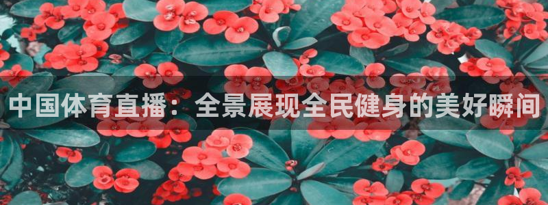 833直播体育免费入口