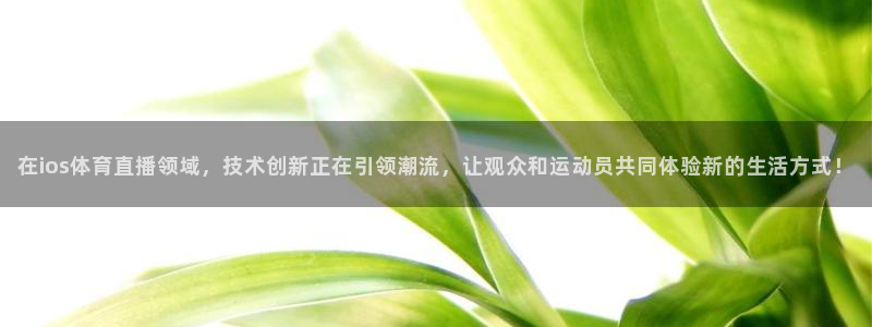 833足球比赛直播：在ios体育直播领域，技术创新正在引领潮流，让观众和运动员共同体验新的生活方式！