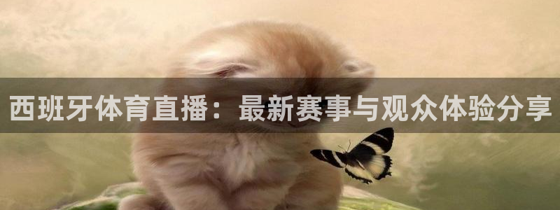 833直播nba免费观看高清直播：西班牙体育直播：最新赛事与观众体验分享