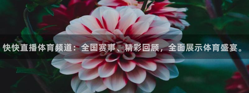 3833tv直播：快快直播体育频道：全国赛事、精彩回顾，全面展示体育盛宴。