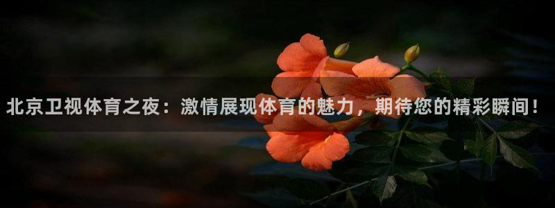 833体育免费直播：北京卫视体育之夜：激情展现体育的魅力，期待您的精彩瞬间！