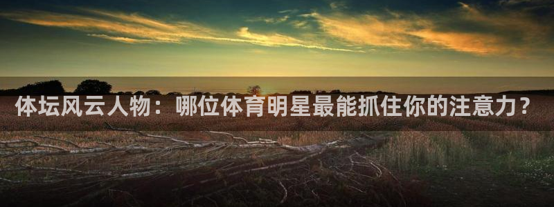 833直播比赛免费观看：体坛风云人物：哪位体育明星最能抓住你的注意力？
